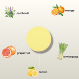 AWAKEN SHOWER STEAMERS